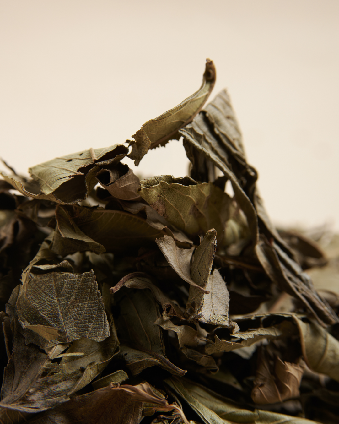 Kinkeliba - Dried leaves 30g